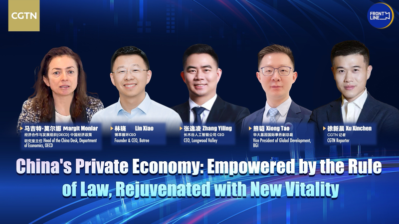 China Introduces New Law to Boost Private Businesses π Watch: China rolls out new law promoting private sector video poster