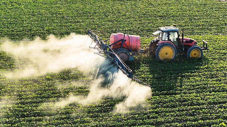 Watch_Golden_Week_sees_smart_cotton_farming_in_Xinjiang - My Global News: Young Voices Watch: Golden Week sees smart cotton farming in Xinjiang