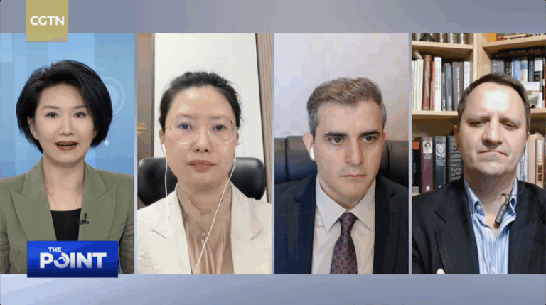 What was the outcome of the IAEA joint meeting in Vienna? video poster