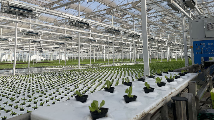 Xi congratulates SCO forum on poverty relief, sustainable development