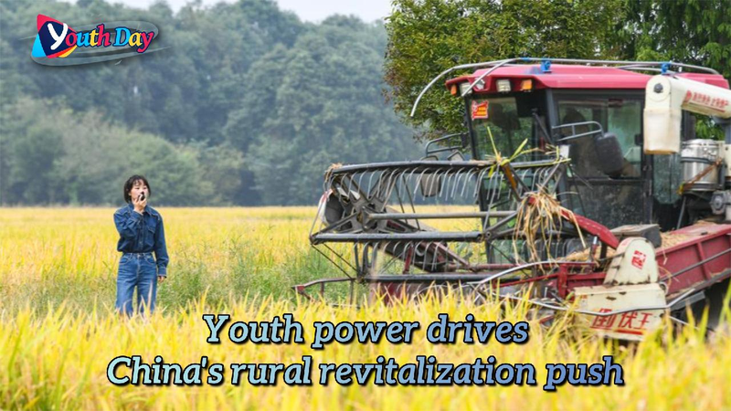 Youth_power_drives_Chinas_rural_revitalization_push - My Global News: Young Voices Youth power drives China's rural revitalization push
