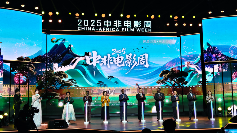 African filmmakers dazzle Changsha with silver screen stories
