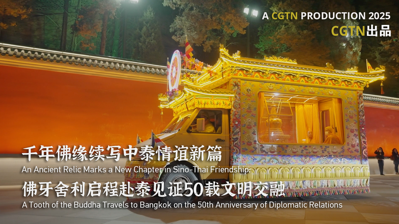 An Ancient Relic Marks a New Chapter in Sino-Thai Friendship video poster