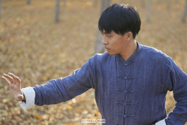 Meet Wu Hao: The Young Guardian of Bajiquan Martial Arts Bajiquan martial art practice in the woods