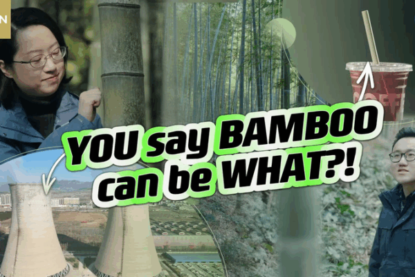Bamboo Beats Plastic: China’s Green Switch 🌿♻️ Bamboo instead of plastic: China's ongoing green transition video poster