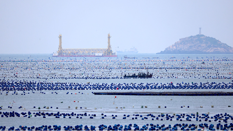 Blue carbon: A secret weapon in the fight against climate change?