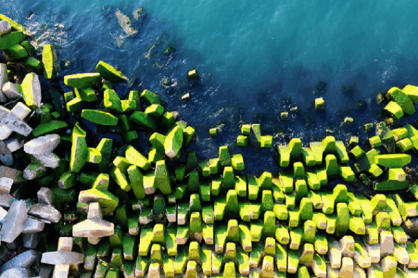 Qingdao’s Breakwater Turns Green with Algae! 🌿 Breakwater covered in green algae in Qingdao