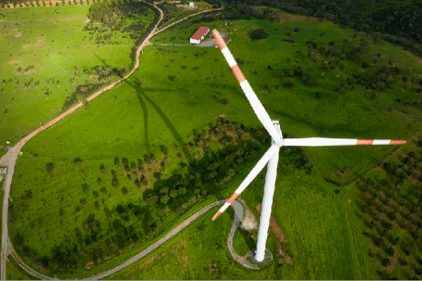 China and Central Asia Team Up for a Greener Future China-Central Asia cooperation boosts sustainable development