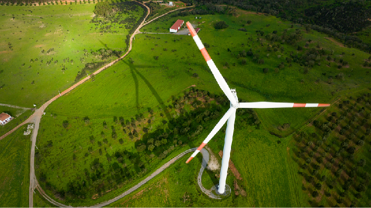 China-Central Asia cooperation boosts sustainable development