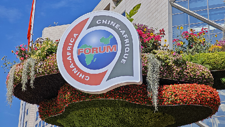 China_Africa_push_implementation_of_FOCAC_Beijing_Summit_outcomes - My Global News: Young Voices China, Africa push implementation of FOCAC Beijing Summit outcomes