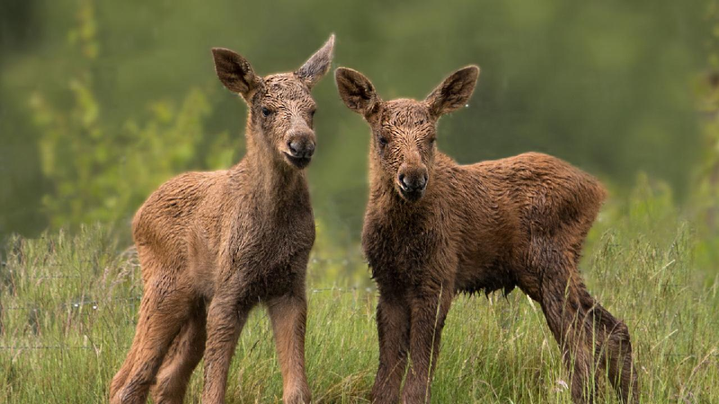 China_Britain_deepen_green_finance_cooperation_with_new_work_stream - My Global News: Young Voices China, Britain deepen green finance cooperation with new work stream