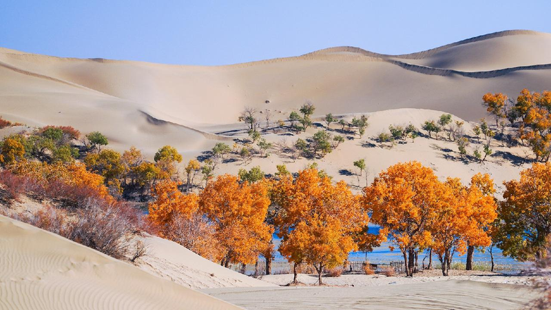 China_Central_Asian_nations_to_turn_more_deserts_into_oases - My Global News: Young Voices China, Central Asian nations to turn more deserts into oases