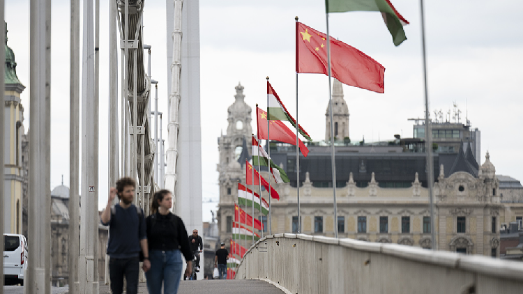 China, Hungary hold symposium on international human rights
