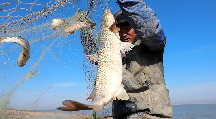 China on the fishing boats: A portrait of ocean life
