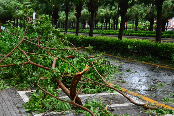 China Raises Alert as Typhoon Wutip Approaches South Coast 🌊🌪️ China raises emergency response to Typhoon Wutip in multiple regions