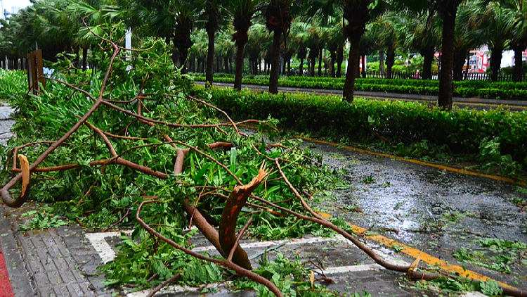China raises emergency response to Typhoon Wutip in multiple regions