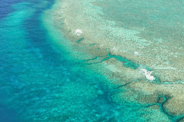Why Are China and the Philippines Disagreeing Over Islands in the South China Sea? China slams Philippines over illegal operations in South China Sea