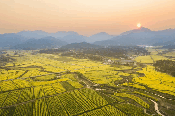 China Celebrates Cultural and Natural Heritage Day with Exciting Events! China to mark Cultural and Natural Heritage Day with event in Changsha