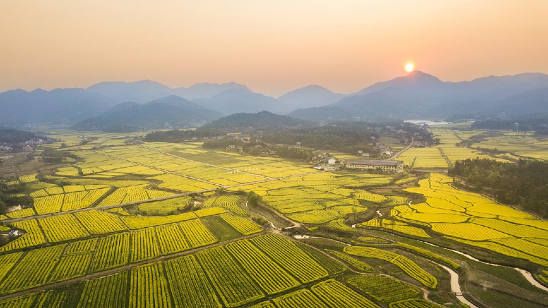 China_to_mark_Cultural_and_Natural_Heritage_Day_with_event_in_Changsha - My Global News: Young Voices China to mark Cultural and Natural Heritage Day with event in Changsha