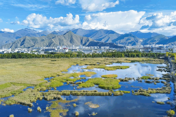 Xizang’s Eco Wonderland: How Nature Thrives in China’s Southwest China's Xizang maintains stable ecological environment in 2024