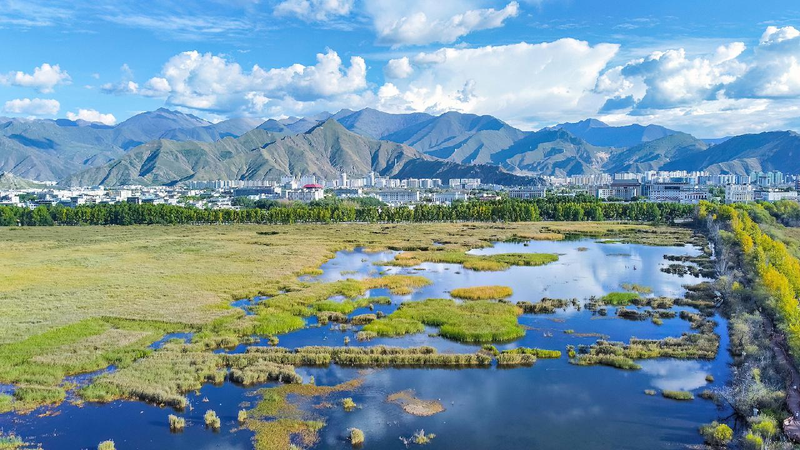 China's Xizang maintains stable ecological environment in 2024