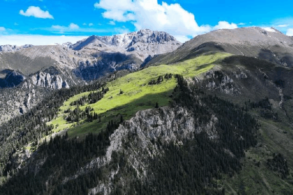 China’s Journey to a Greener Planet ๐: Leading the Way in Environmental Protection China's role in ecological and global environmental governance