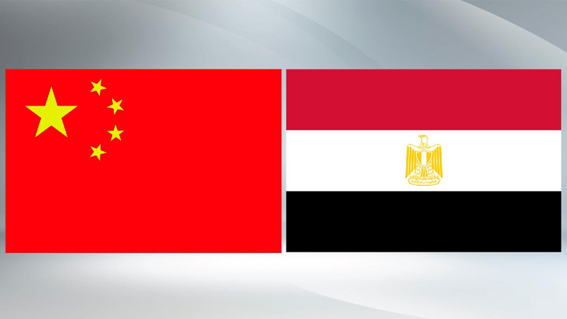Chinese_Egyptian_FMs_voice_grave_concern_about_Middle_East_situation - My Global News: Young Voices Chinese, Egyptian FMs voice grave concern about Middle East situation
