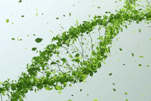 Scientists Team Up to Create Super Tomatoes with New Gene-Editing! ๐
โจ Chinese, Israeli scientists develop new approach for genetic editing