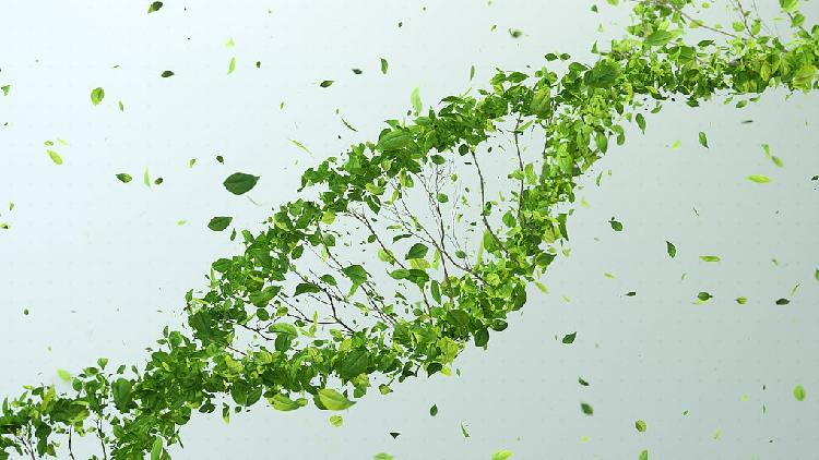 Chinese, Israeli scientists develop new approach for genetic editing