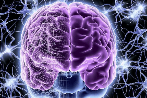 Amazing Hydrogel Helps Heal Brain Injuries! 🧠✨ Chinese researchers develop cocktail hydrogel for brain injury therapy