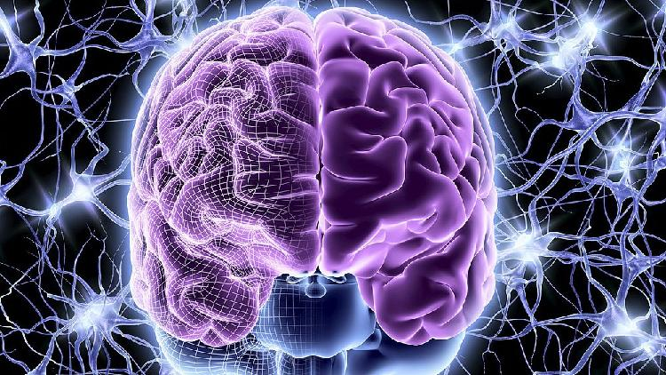 Chinese_researchers_develop_cocktail_hydrogel_for_brain_injury_therapy - My Global News: Young Voices Chinese researchers develop cocktail hydrogel for brain injury therapy