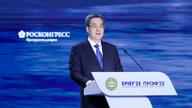 Chinese vice premier urges unity, multipolar world at 2025 SPIEF