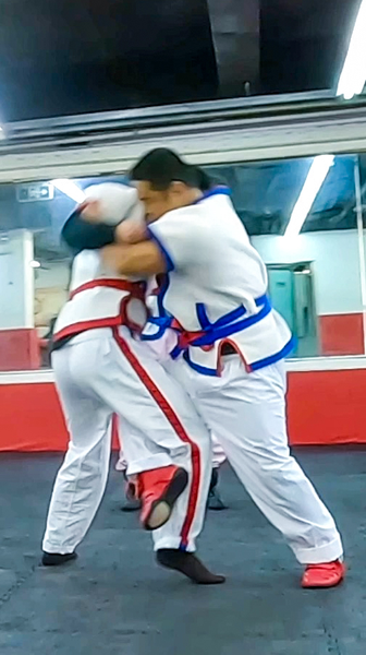 Chinese wrestling: The people's art of skill and balance video poster