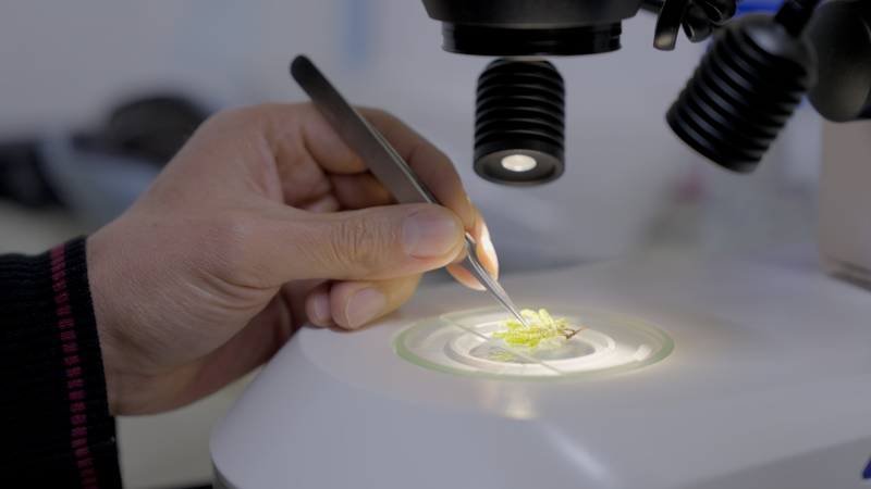 Colombian researchers preserve Amazon plant life video poster