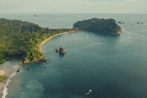 Costa Rica’s Ocean Adventure: Protecting Our Blue Planet! Costa Rica and the ocean: A sanctuary for ocean wildlife
