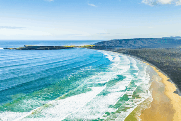 Explore New Zealand’s Magical Catlins: Nature’s Wonderland Awaits! ๐ฟ Explore New Zealand with streamlined entry for Chinese visitors