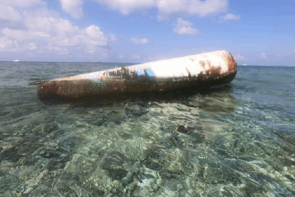 Why Protecting Our Oceans Matters ๐๐ Food Delivery: Fresh from the Western media