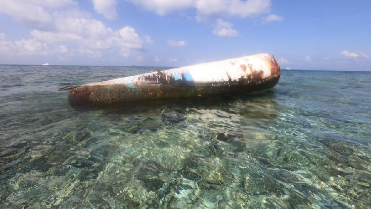 Food Delivery: Fresh from the Western media