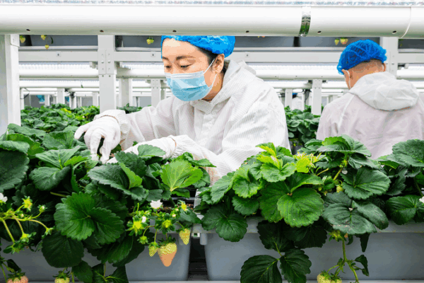 China’s Green Transformation: How Going Green is Shaping the Future! π± Green transformation: A catalyst for new quality productive forces