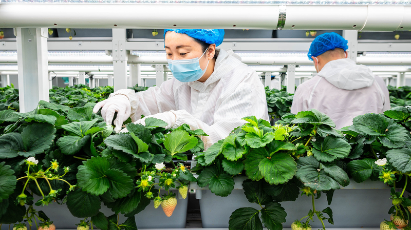 Green_transformation_A_catalyst_for_new_quality_productive_forces - My Global News: Young Voices Green transformation: A catalyst for new quality productive forces