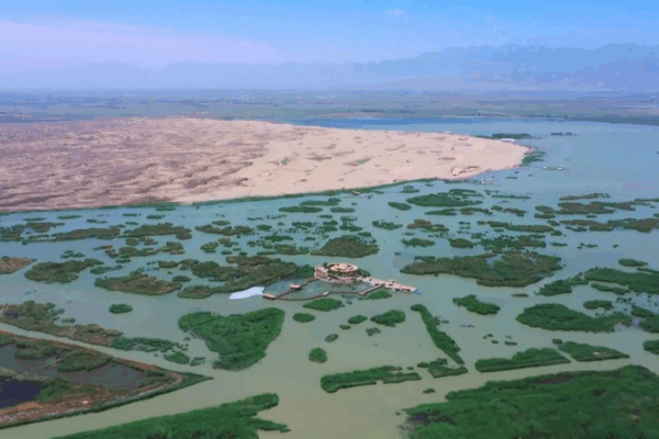 How Straw Grids are Greening the Tengger Desert in Ningxia! Greening the Tengger Desert video poster