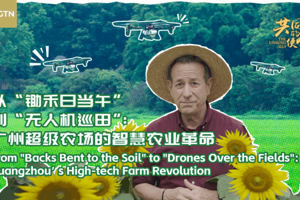 Farming with Robots: Guangzhou’s High-Tech Revolution! 🌾🤖 Guangzhou's High-tech Farm Revolution video poster