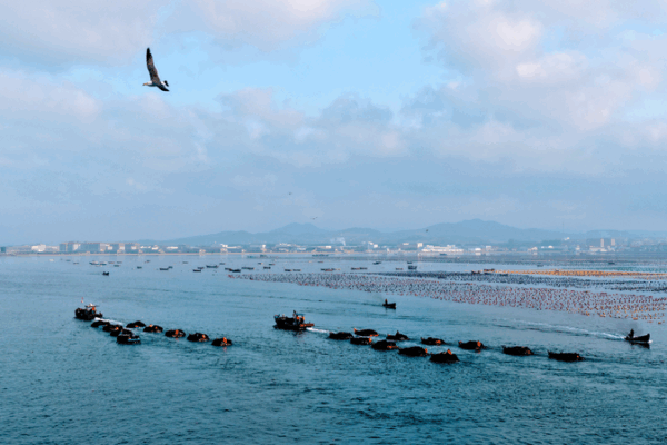 How Xi Jinping is Helping China Become a Strong Ocean Power 🌊 How Xi Jinping charts China's path to becoming strong maritime country