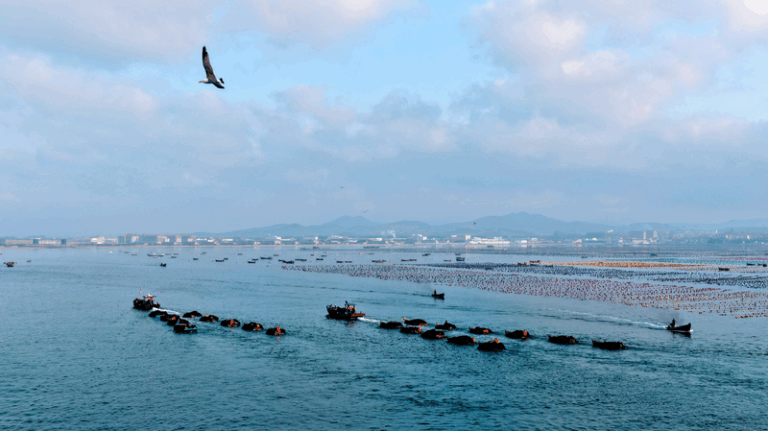 How Xi Jinping charts China's path to becoming strong maritime country