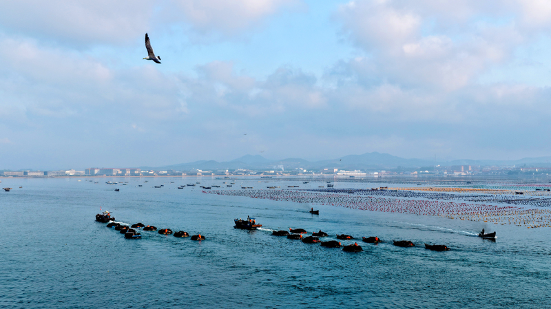 How Xi Jinping charts China's path to becoming strong maritime country