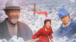 New Movie ‘Story of Cotton Field’ Inspires with Tales of Xinjiang’s Heroes 🌿🎬 Inspiring Xinjiang film hits theaters in China