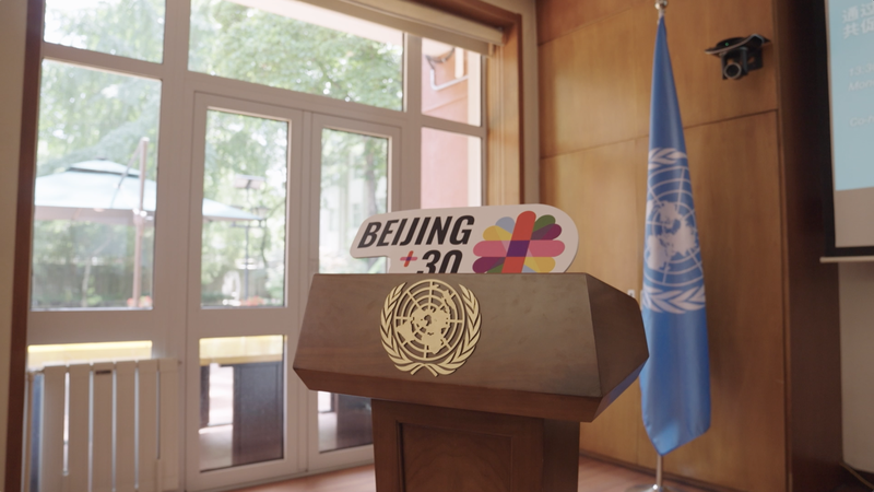 Kenya deputy ambassador: 30 years of progress in gender equality video poster