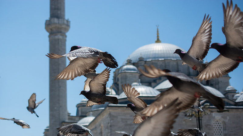 Live: Exterior of the site where Ukraine and Russia talks take place video poster