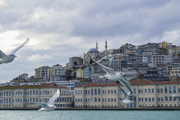 Live: Latest on peace talks between Russia, Ukraine video poster