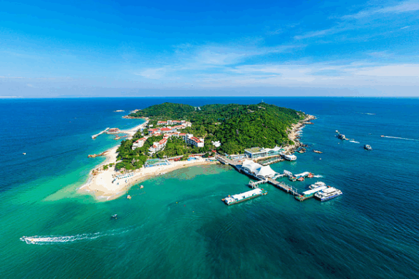 Dive into the Underwater Wonderland of Wuzhizhou Island’s Marine Ranch Live: Underwater views of the Marine Ranch in Wuzhizhou Island